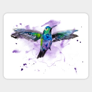 Hummingbird flying Sticker